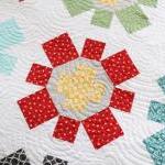 New Quilt Pattern Spin Cycl..