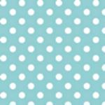 Aqua and White Polka Dot Fl..